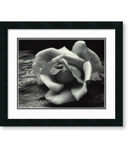 Adams 'Rose and Driftwood, San Francisco 1932' Framed Print