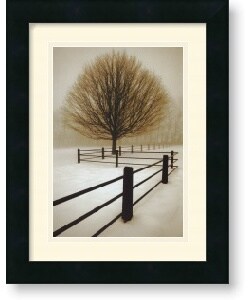 David Lorenz Winston 'Solitude' Framed Art Print