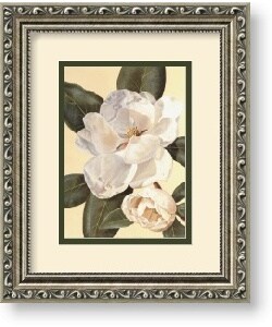 Waltraud Fuchs von Schwarzbek 'Morning Magnolia' Framed Art Print