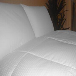 Swiss Dot 300 Thread Count Baffle Box Down Comforter