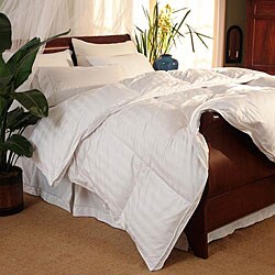 Oversized 500 Thread Count Silk Cotton Down Comforter