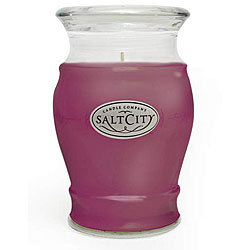 Plum Spice 26-oz Scented Salt City Candle