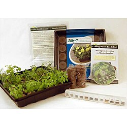 Indoor Culinary Herb Garden Starter Kit
