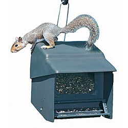 Homestead Super Stop-A-Squirrel Bird Feeder