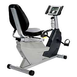 LifeSmart LS 800 Exercise Bike