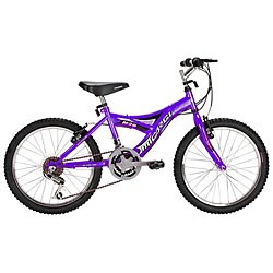 A Purple Bike
