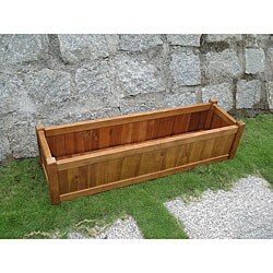 Eucalyptus Window Box