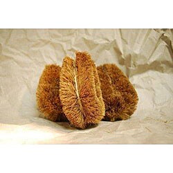 Coir Fiber 6-inch Vegetable Brush (Pack of 6)
