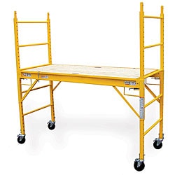 Multipurpose Scaffold