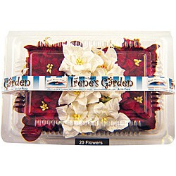 Irene's Garden Burgundy/ White Box o' Gardenias (Pack of 20)