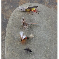 Genesis Dry 15-fly Fishing Assortment