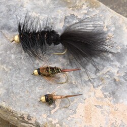 Genesis Nymph 15-fly Fishing Assortment 