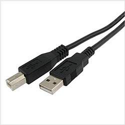 Type A to B 10-foot Black USB 2.0 Cable