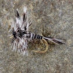 Mosquito Fishing Fly (12 Flies)