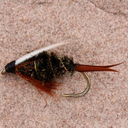 Prince Nymph Standard Fishing Fly (Set of 12)