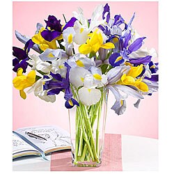 (Valentine's Day Pre-order) Bouquet of Assorted Iris
