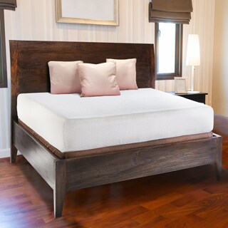 --->  Comfort Dreams Anti-bacterial / Allergy / Dust Mite Silver-treated 10-inch Twin-size Memory Foam Mattress
