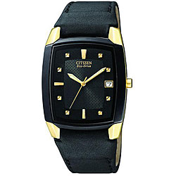 Citizen Men's Eco-drive Stainless Steel Leather Watch