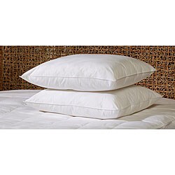 Comfort Curve Memory Loft Pillows (Set of 2)