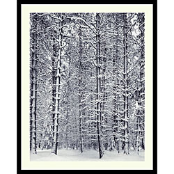 Ansel Adams 'Pine Forest in the Snow, Yosemite National Park' Art 