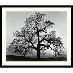 Ansel Adams 'Oak Tree, Sunset City, California' Framed Art Print
