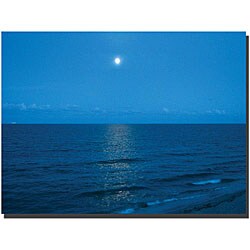 David 'Blue Waves' Gallery-wrapped Canvas Art