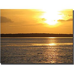 David 'Dolphin Sunset' Gallery-wrapped Canvas Art