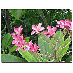 David 'Flowers of the Keys III' Gallery-wrapped Canvas Art