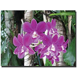 David 'Purple Orchid II' Gallery-wrapped Canvas Art