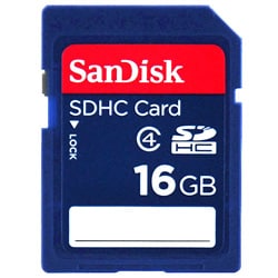 SanDisk 16GB Secure Digital SD/ SDHC Memory Card (Class 4)