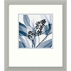 Steven N. Meyers 'Eucalyptus I' Framed Art Print