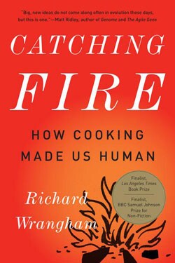 Catching Fire (Paperback)