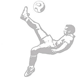 Flipkick Sudden Shadows Wall Decal