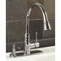 DeNovo Premier Mini-pullout Chrome Kitchen Faucet.