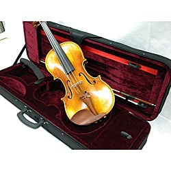 Artist 500 Series Concert Violin, Case and Accessory Package