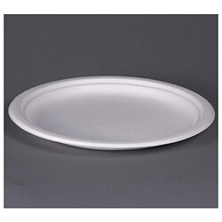 ECOPRO CO 9.5-inch Bamboo Fiber Compostable Round Plates (Case of 500)