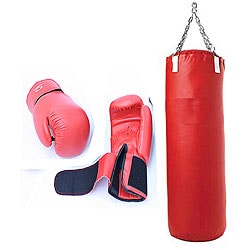 Pro Gloves And Punching Bag