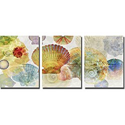 Robert Mertens 'Shell Suite' Unframed Canvas 3-piece Set