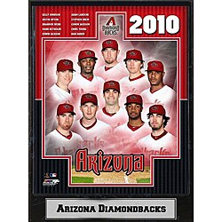 Arizona Diamondbacks 2010 Team Plaque