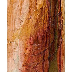 Lawrence Abrahamsen 'Prana II' Canvas Art