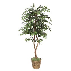 Green Ficus 6-foot Artifical Trees (Pallet of 18)