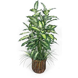Silk 4-foot Dieffenbachia Floor Plant