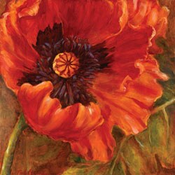 Nicole Etienne 'Red Poppy' Gallery-wrapped Canvas Art