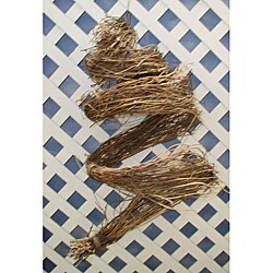Small Dried Vine Hanging Wreaths (Case of 18)