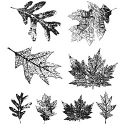 Tim Holtz Falling Leaves Cling Rubber Stamp Set