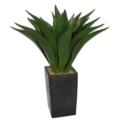 Laura Ashley 48-inch Artificial Aloe Plant