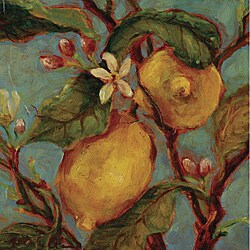 Nicole Etienne 'Lemons on a Branch' Gallery Wrapped Canvas Art