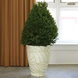 Resin Desert Palm Planter (Indonesia)