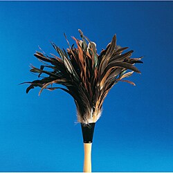 Tolco 14-in Feather Dusters (Pack of 12)