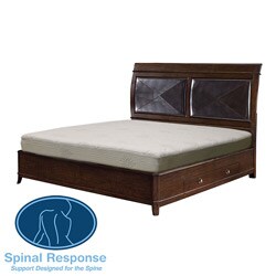 Spinal Response Aloe 8-inch Queen-size Smooth Top Memory Foam Mattress